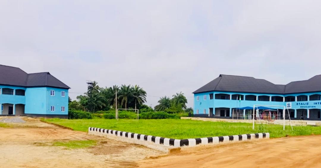 WhatsApp Image 2024-10-14 at 17.31.21_a08cda9b